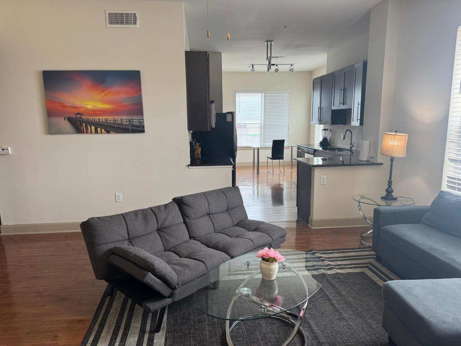 Gorgeous Furnished Apartments Near Texas Medical Center & Nrg Stadium Houston Cameră foto